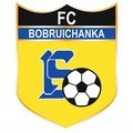 Escudo del Bobruichanka Fem