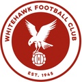 Whitehawk