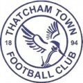 Escudo del Thatcham Town
