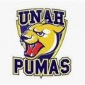 Pumas