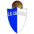 Cardones Fem