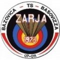 Escudo del Zarja