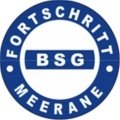 Escudo del BSG Fortschritt Meerane
