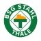 BSG Stahl Thale