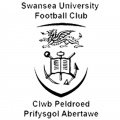 Swansea University