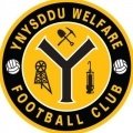 Escudo del Ynysddu Welfare