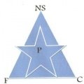 Escudo del New Star