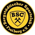 BSC Freiberg?size=60x&lossy=1