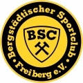 BSC Freiberg