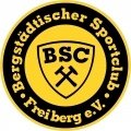 Escudo del BSC Freiberg