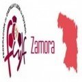 Escudo del Selección Provincial Zamora
