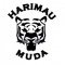 Harimau Muda II