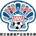 Escudo del Yangjiang Haiyuan Yuchan