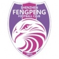 Shenzhen Fengpeng?size=60x&lossy=1