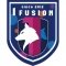 Nanjing 1Fusion