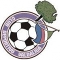 Escudo Ampuero FC