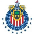Escudo del Guadalajara Sub 15