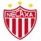 Necaxa Sub 15