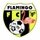 flamingo-fc-surinam