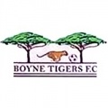 Boyne Tigers?size=60x&lossy=1