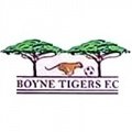 Escudo del Boyne Tigers