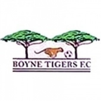 Boyne Tigers