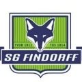 Escudo del SG Findorff