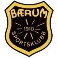 Escudo del Bærum II