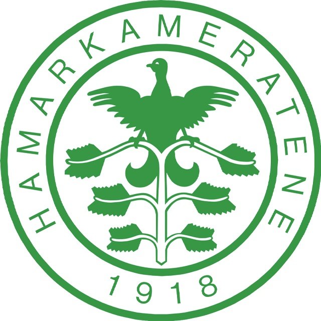 Escudo del HamKam II