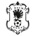 Escudo del Baumit Peggau