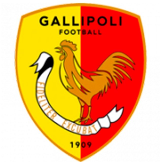 Escudo del Gallipoli 