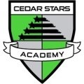 Cedar Stars Rush