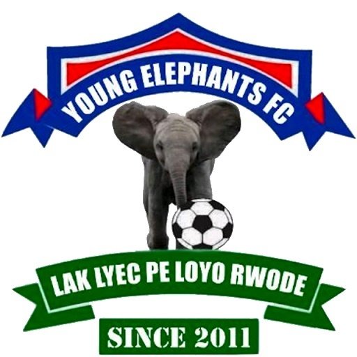 Young Elephants