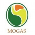 Mogas 90