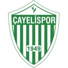 Escudo del Çayelispor