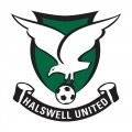 Escudo del Halswell United FC