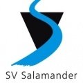 Escudo del Salamander Kornwestheim