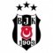 Beşiktaş Fem