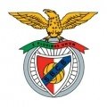 Escudo del Benfica Castelo Branco