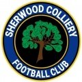 Escudo del Sherwood Colliery