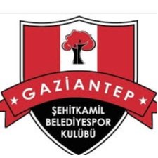 Şehitkamil Belediyespor