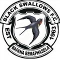 Escudo del Black Swallows