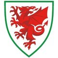 Escudo del Gales Sub 16