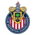 >Chivas Guadalajara