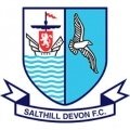 Escudo del Salthill Devon