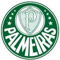 Palmeiras Fem