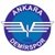 Escudo Ankara Demirspor