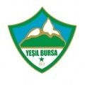 Escudo del Yeşil Bursa