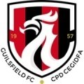Escudo del Guilsfield FC