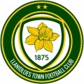 >Llanidloes Town FC